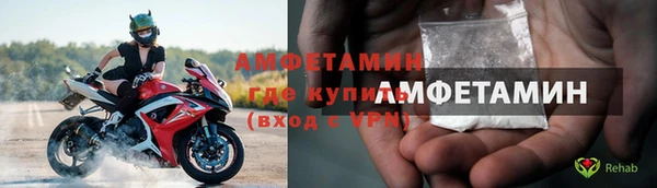индика Володарск