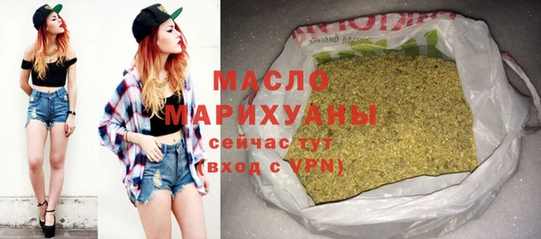 индика Володарск