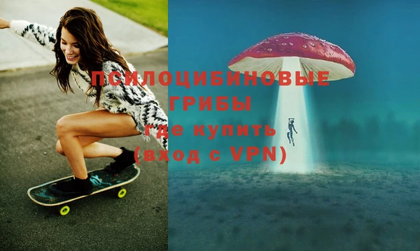 индика Володарск