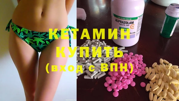 индика Володарск