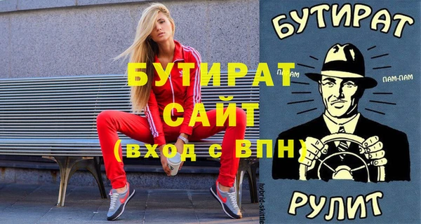 индика Володарск